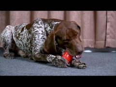 Realistic Ribs Chew Toy - Triple-Thick Sounding Treat Stick