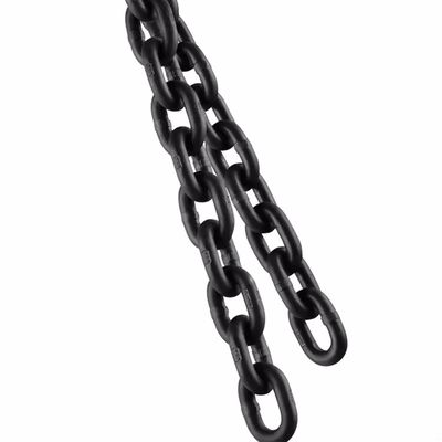 قیمت خوب Professional Lifting Chain for Safe and Precise Weight Lifting Applications آنلاین