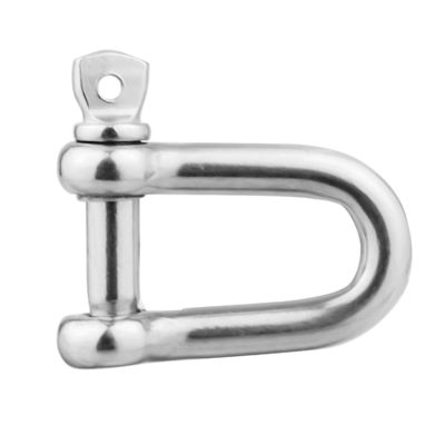 قیمت خوب General Industry Stainless Steel Chain Lifting D Shackle 304L 316L Rigging Hardware آنلاین