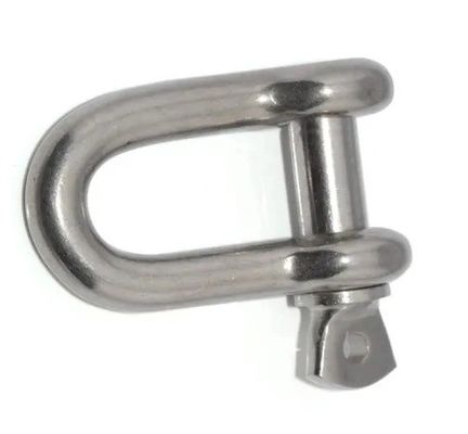 قیمت خوب Other Stainless Steel Hardware Rigging Shackle Polished and Dependable آنلاین